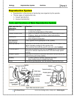 reproductive system.pdf
